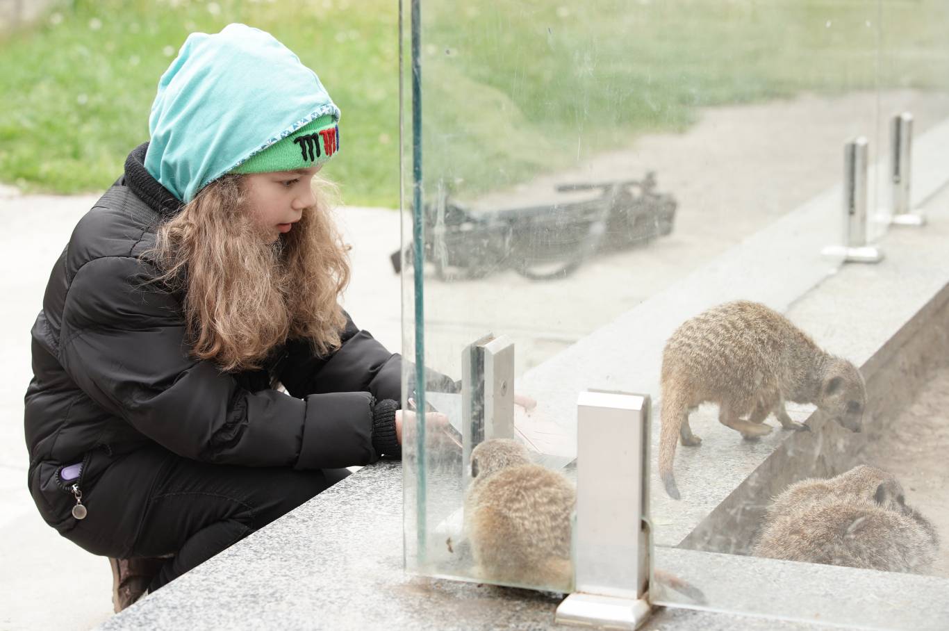 Цікаве дозвілля у Подільському зоопарку