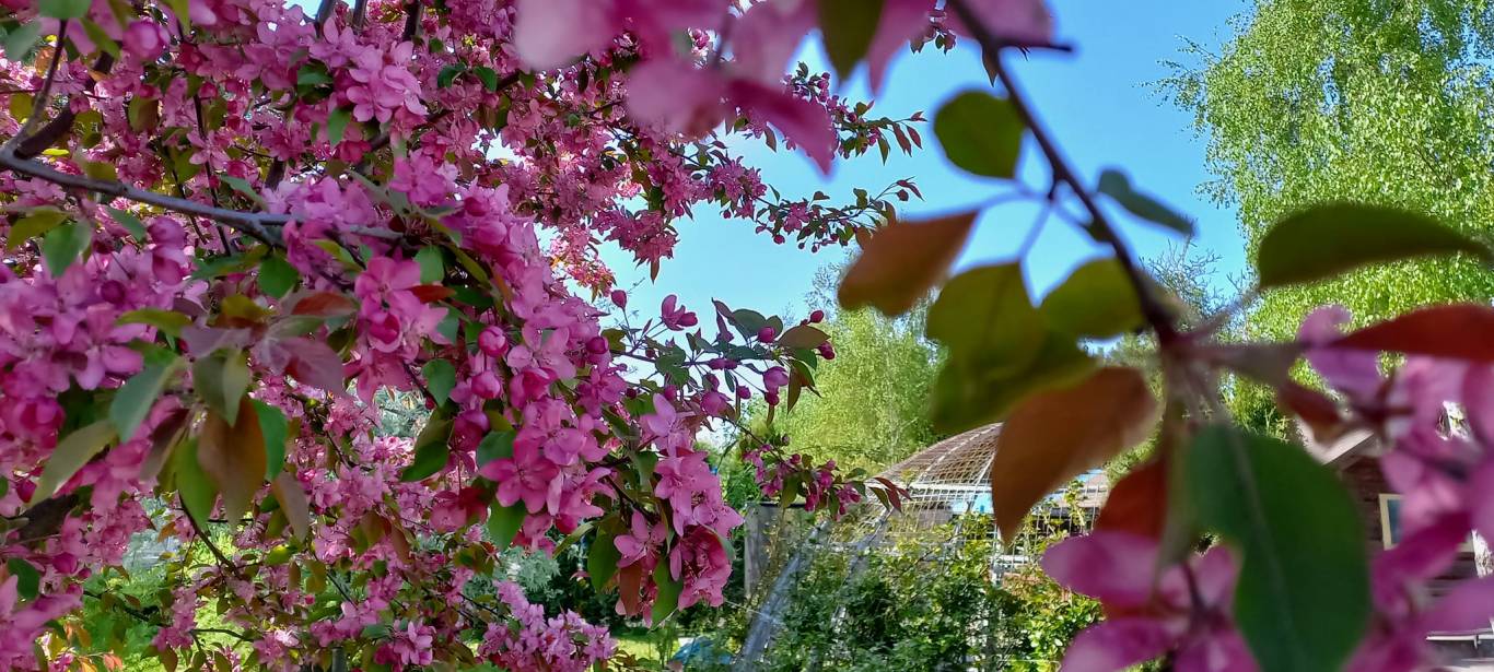 Цікаве дозвілля у Подільському зоопарку