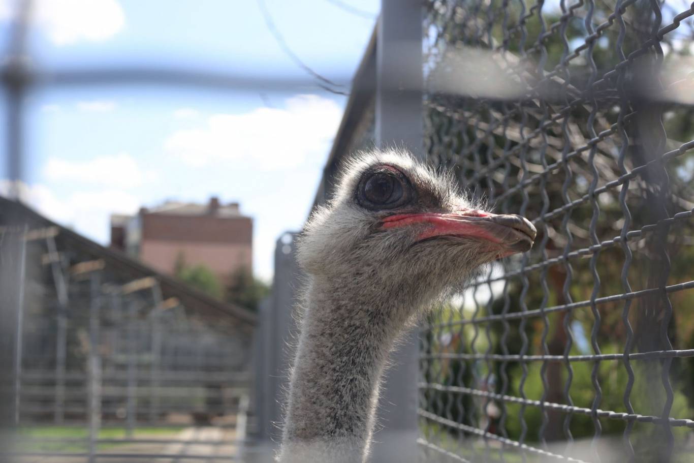 Цікаве дозвілля у Подільському зоопарку