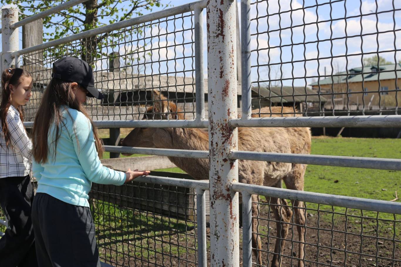 Цікаве дозвілля у Подільському зоопарку