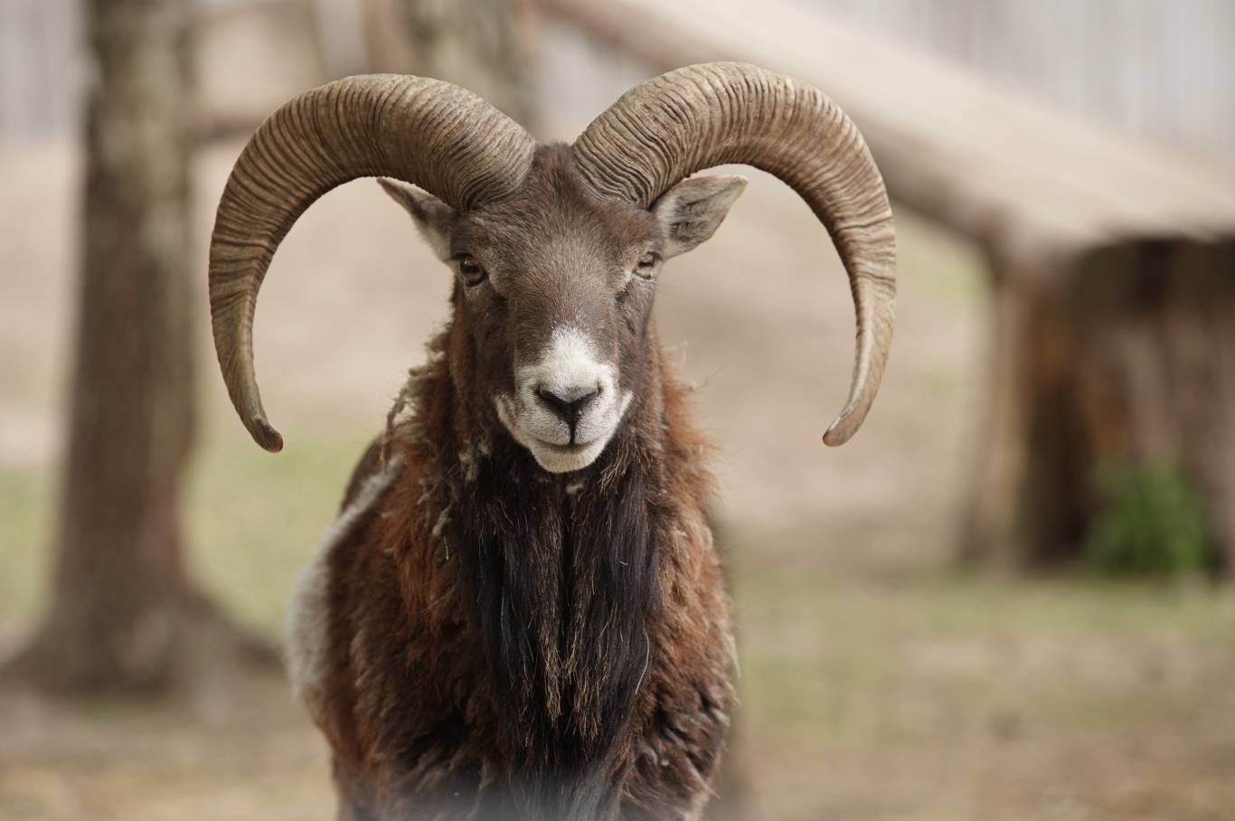 Цікаве дозвілля у Подільському зоопарку