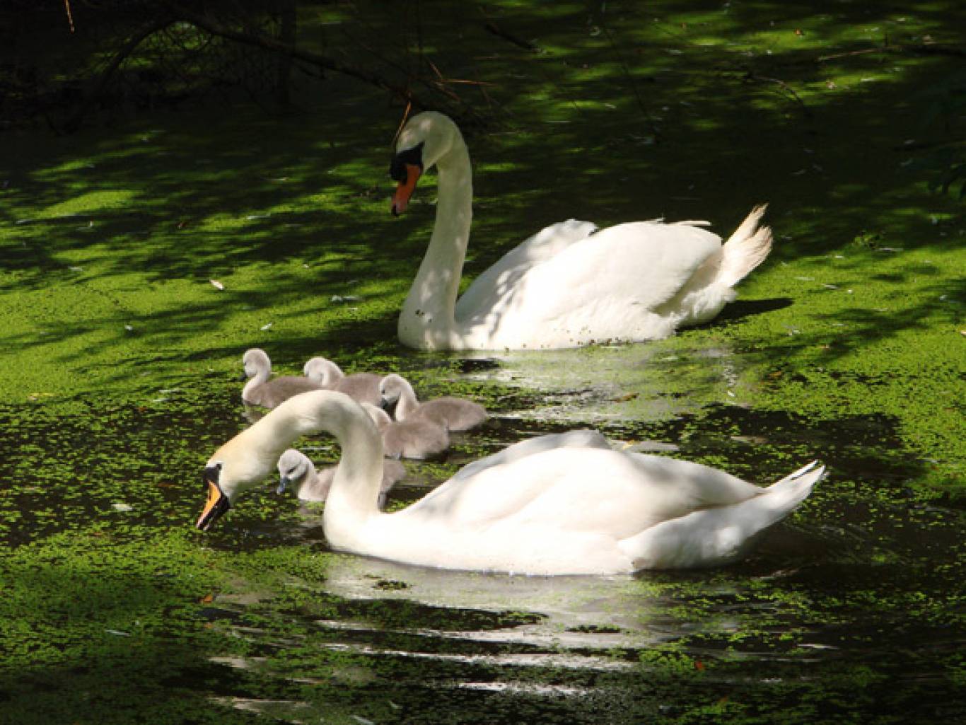 Зоокуточок у Хмельницькому