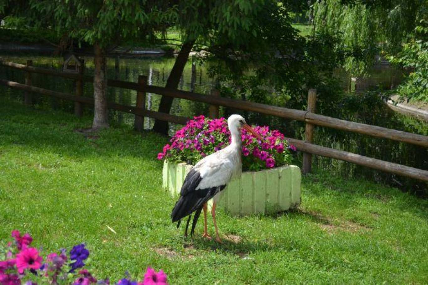 Зоокуточок у Хмельницькому