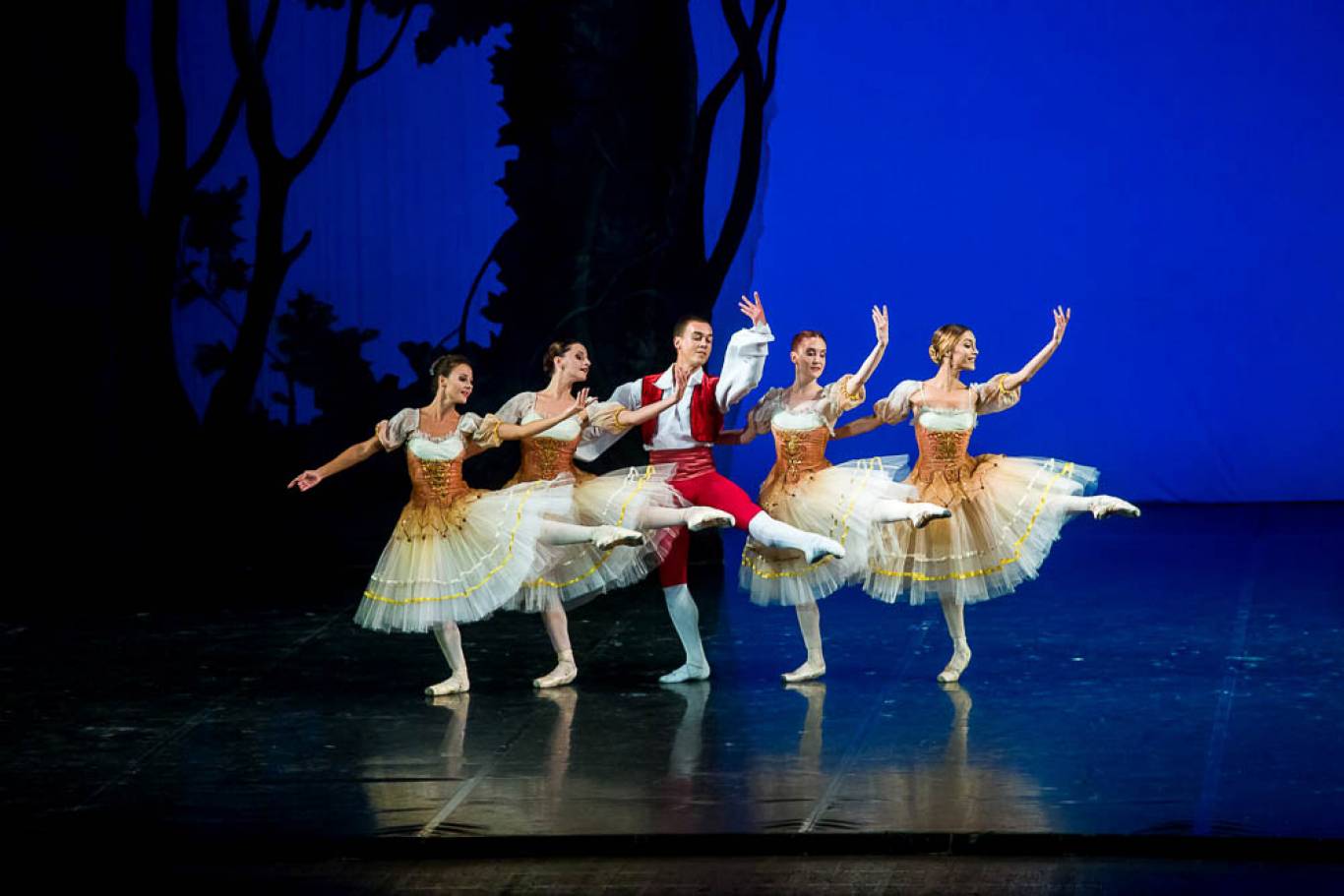 Перлини світового балету