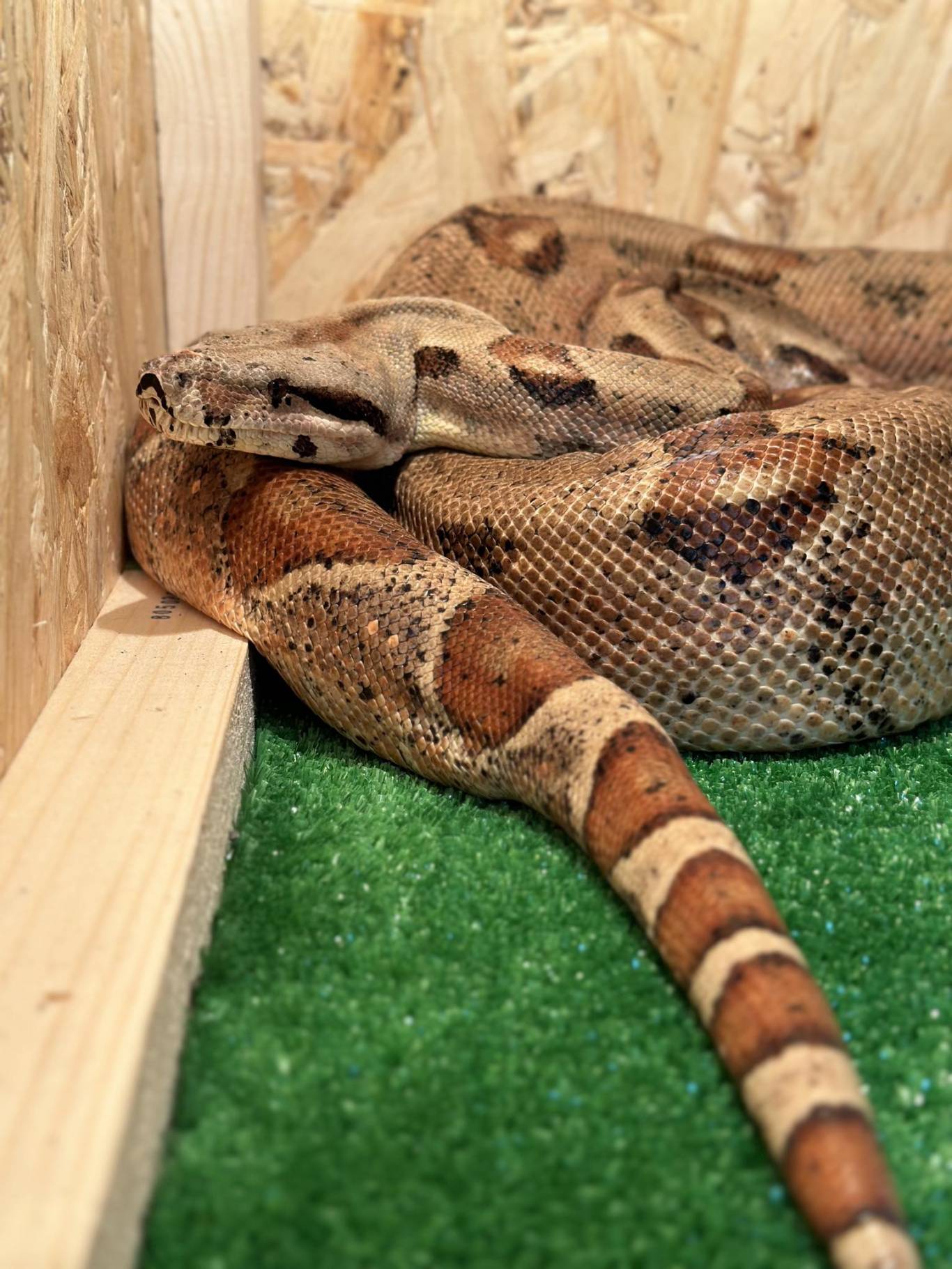 Запорізький зоопарк "Світ Джунглів"