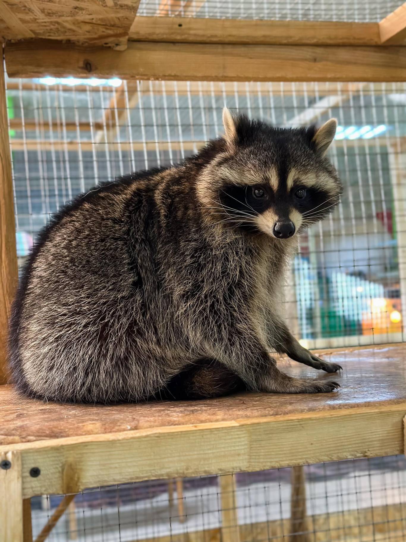 Запорізький зоопарк "Світ Джунглів"