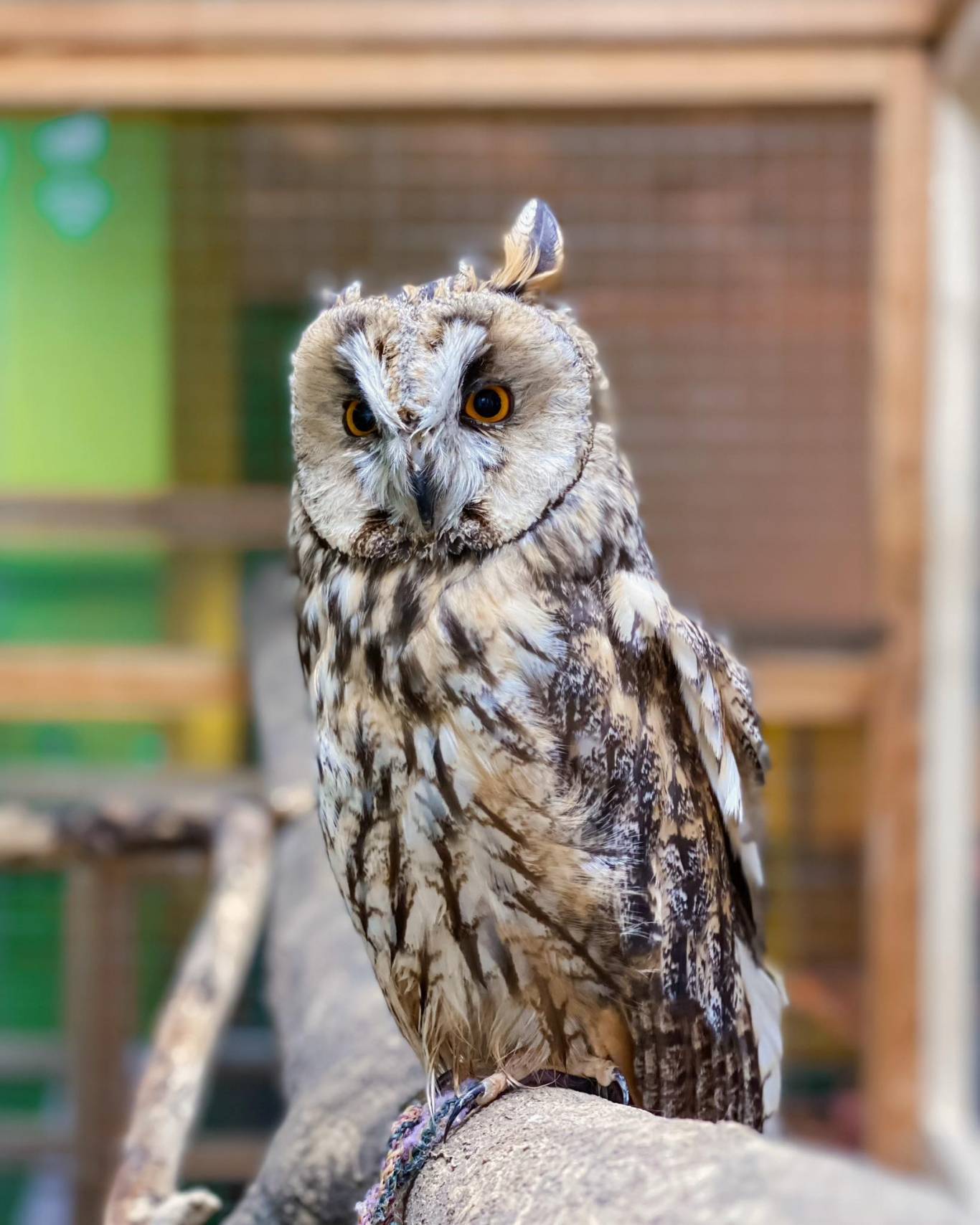 Запорізький зоопарк "Світ Джунглів"