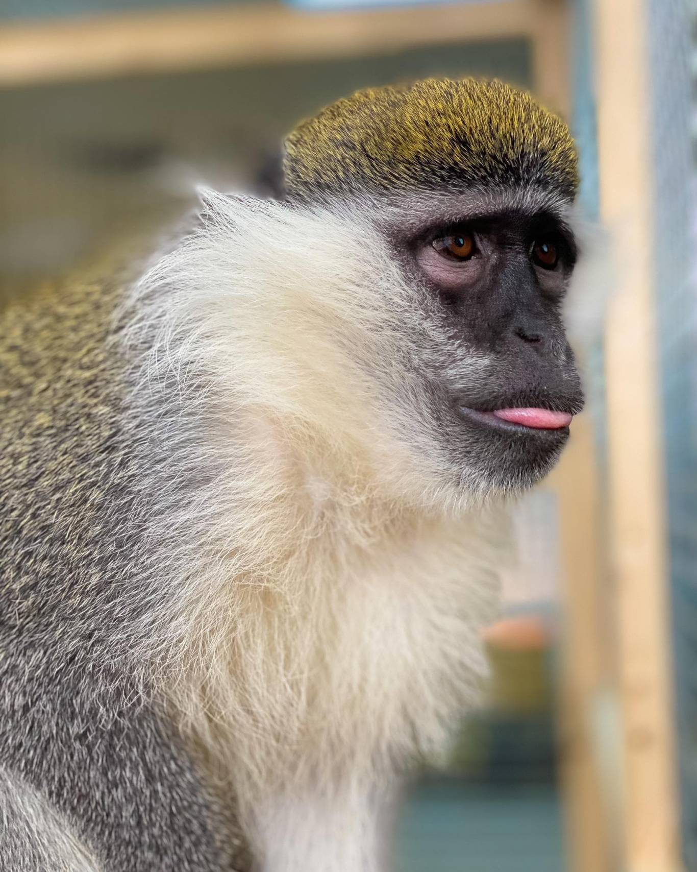 Запорізький зоопарк "Світ Джунглів"