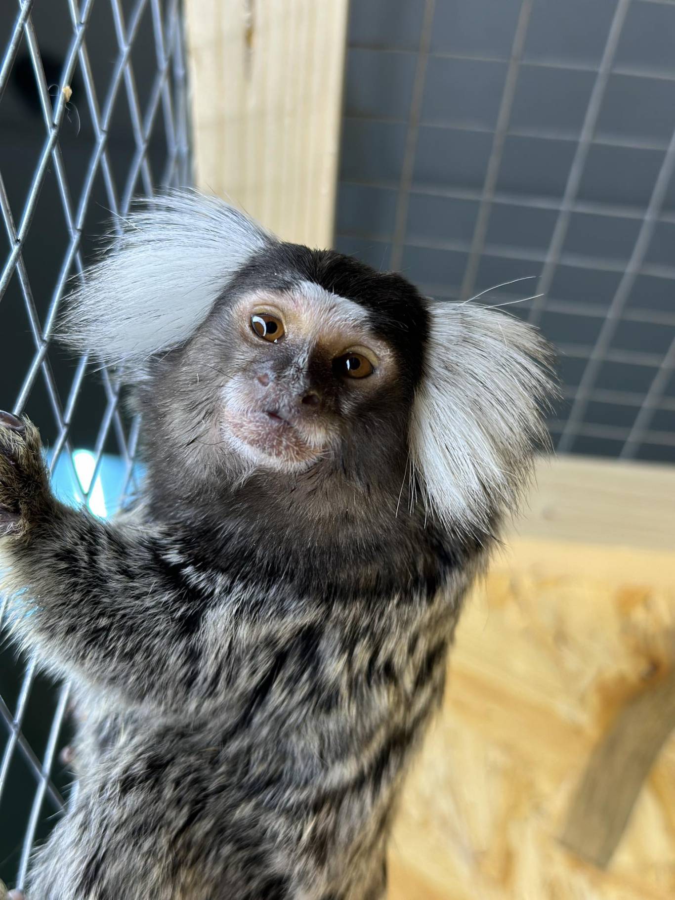 Запорізький зоопарк "Світ Джунглів"