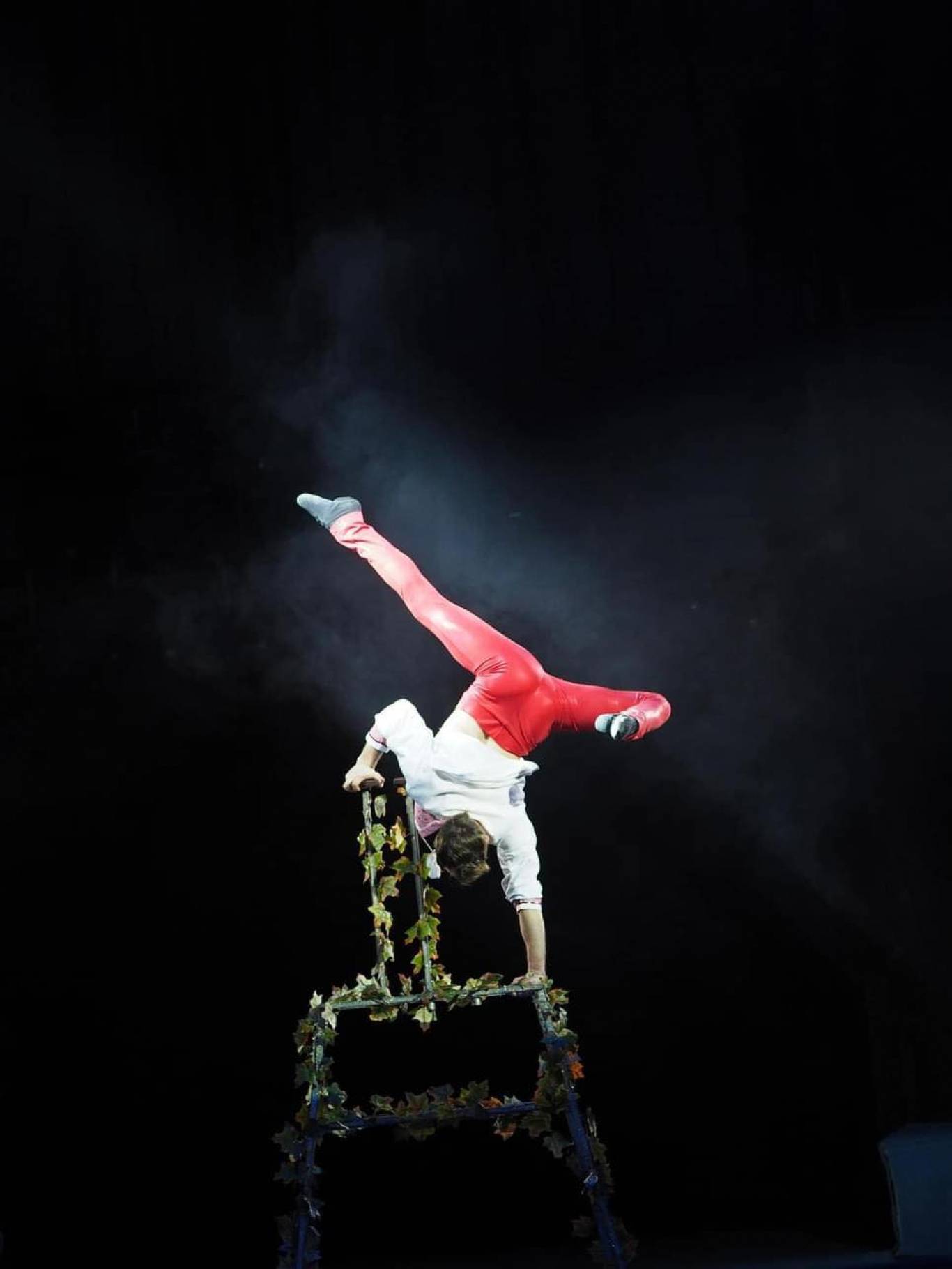 ЦИРК Мрія з шоу-програмою для всієї родини «Незламні»