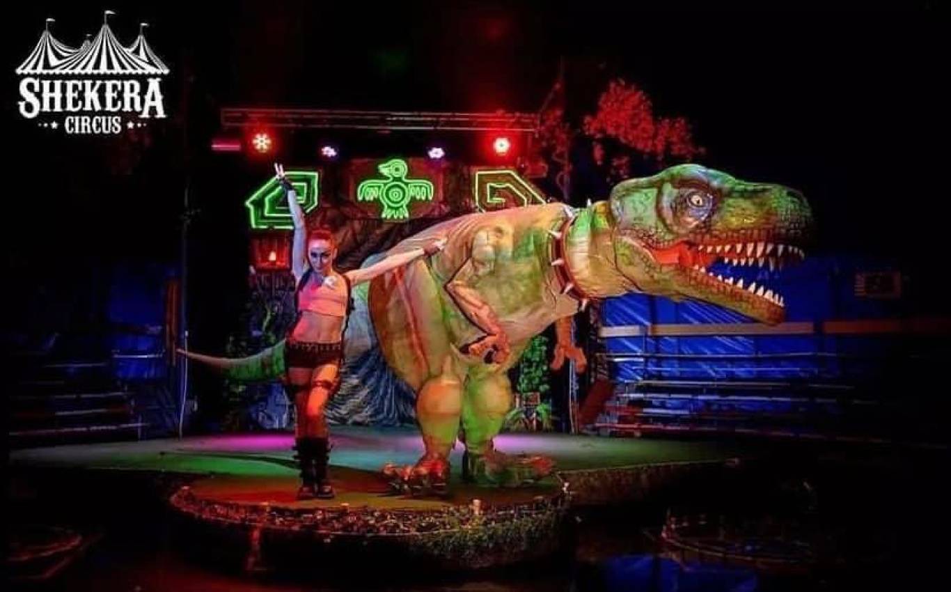 Цирк на воді  "Shekera" з грандіозною програмою Алазана у Житомирі