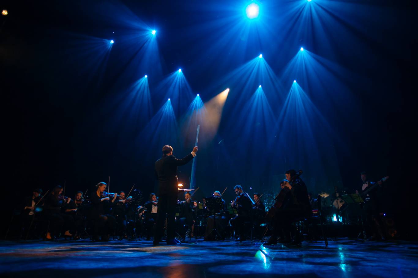 The Harry Potter symphony: Музика з кінофільмів у виконанні симфонічного оркестру