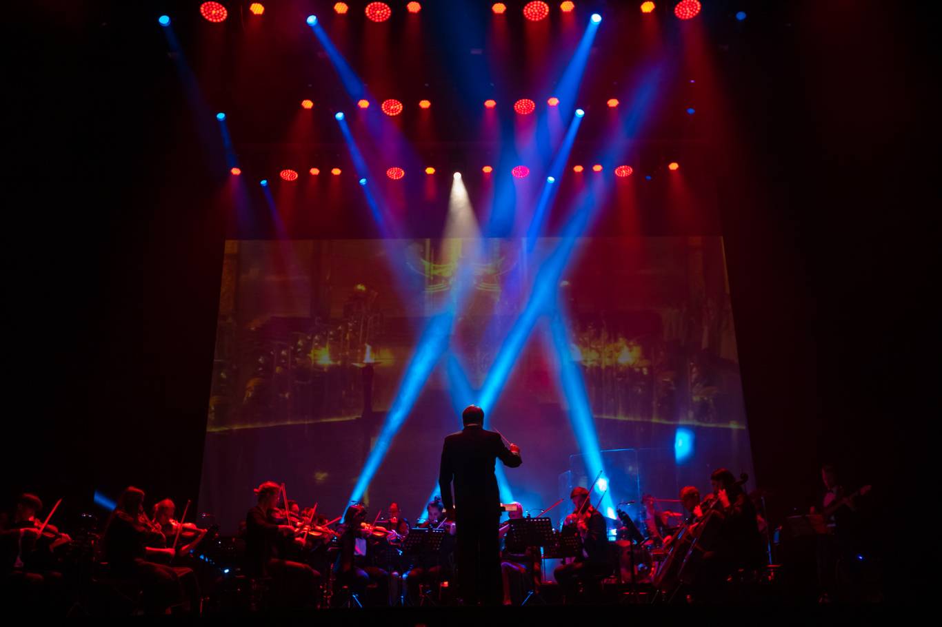 The Harry Potter symphony: Музика з кінофільмів у виконанні симфонічного оркестру