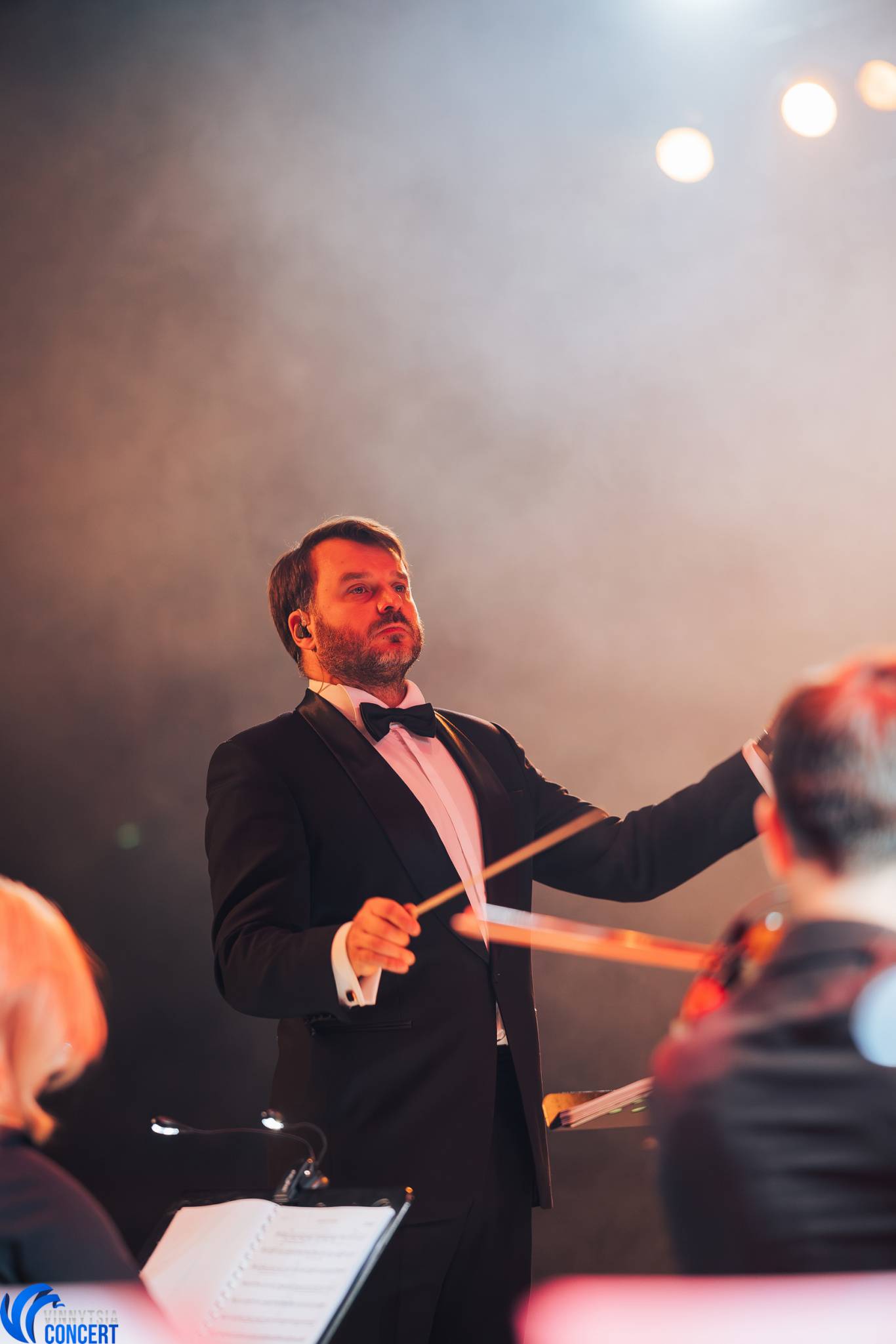 The Harry Potter symphony: Музика з кінофільмів у виконанні симфонічного оркестру