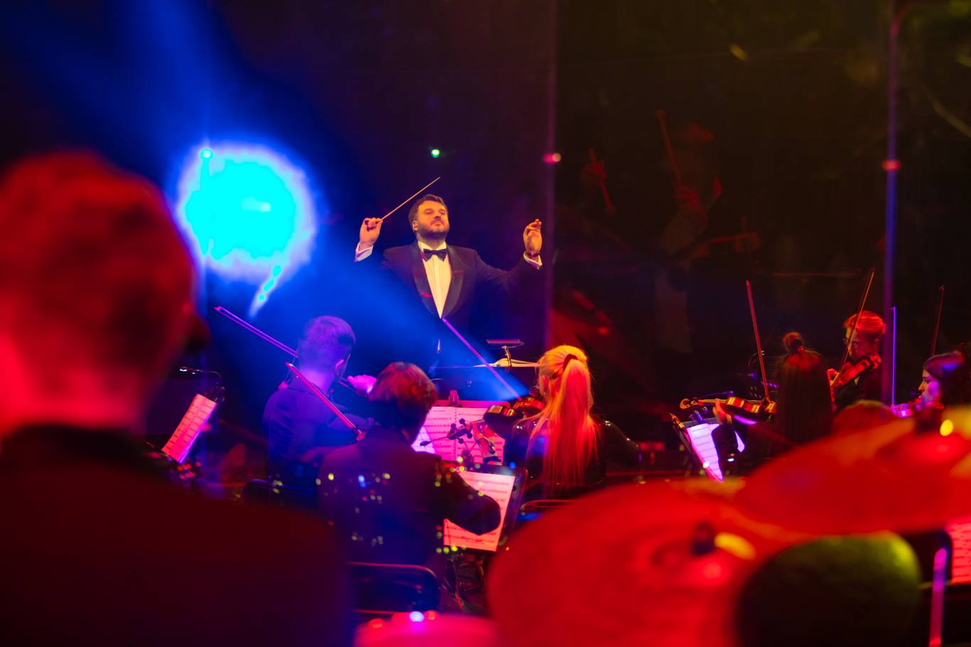 The Harry Potter symphony: Музика з кінофільмів у виконанні симфонічного оркестру