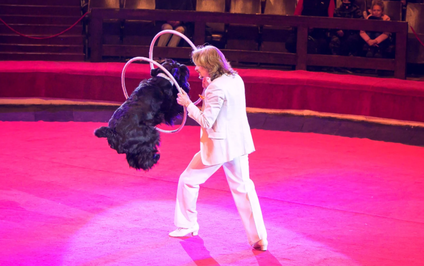 Цирк-шапіто "Вогник Незламності" у Вінниці