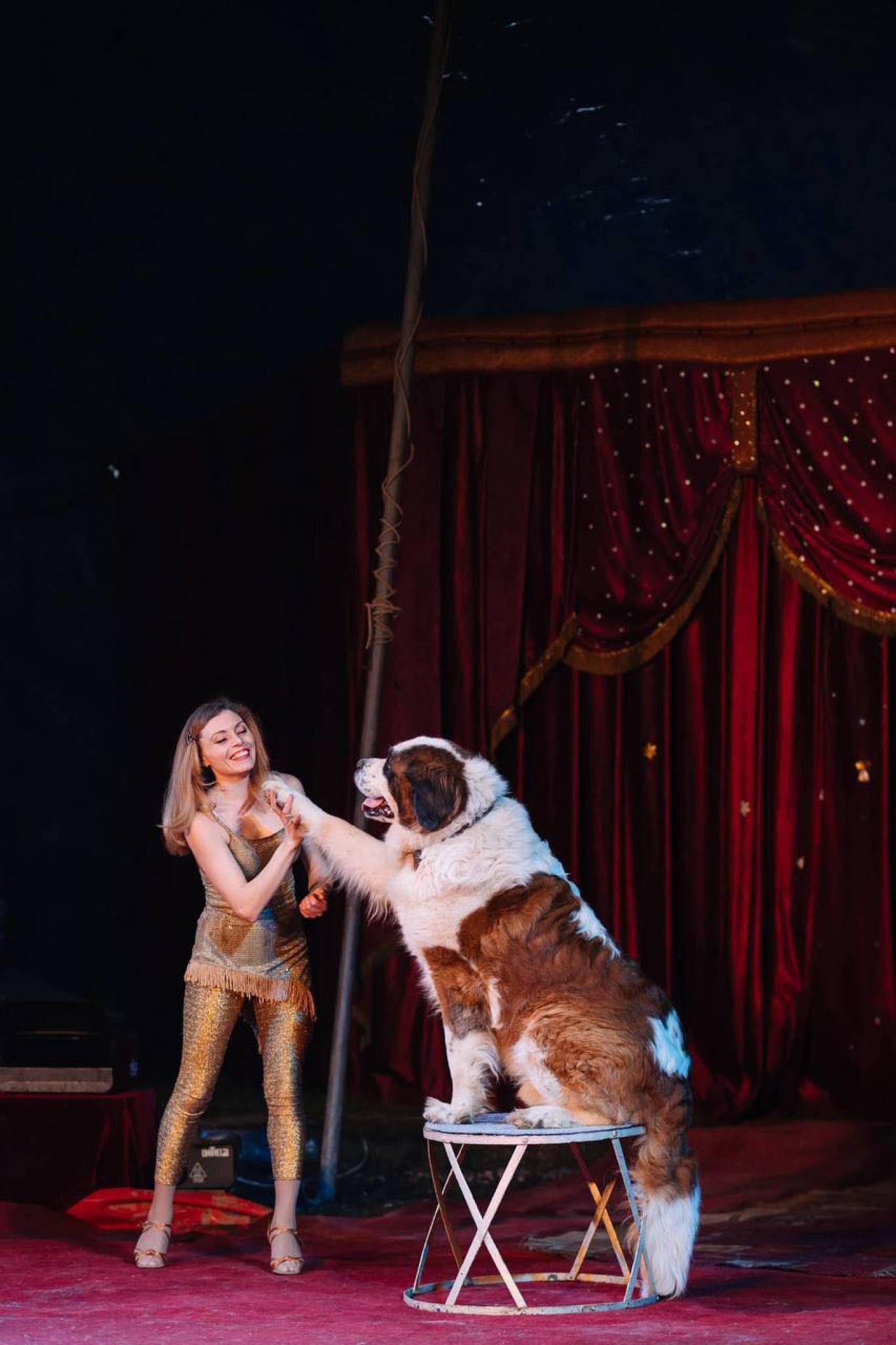 LIAPIN CIRCUS - Найбільший цирк України у Хмельницькому на підтримку ЗСУ