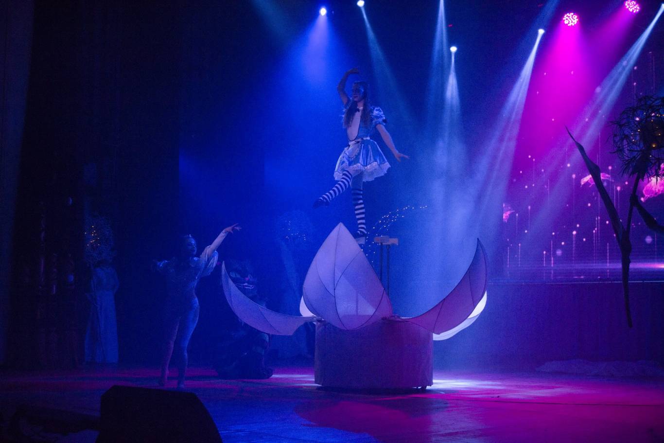«ALICE». Amazing Circus Show