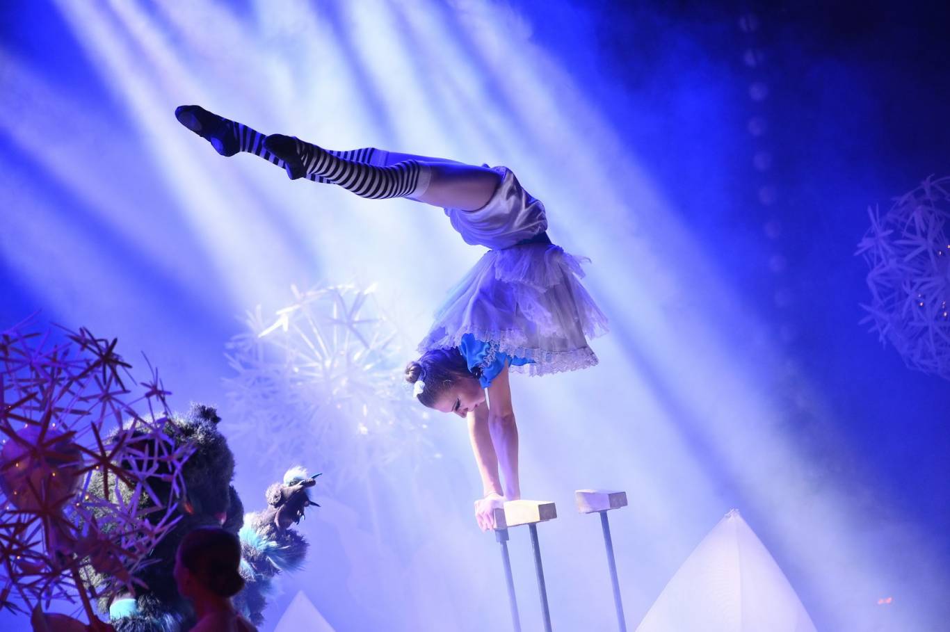 «ALICE». Amazing Circus Show