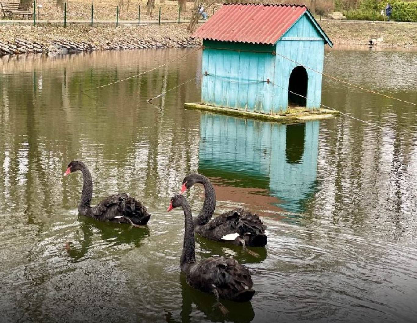 Відпочинок в контактному зоопарку