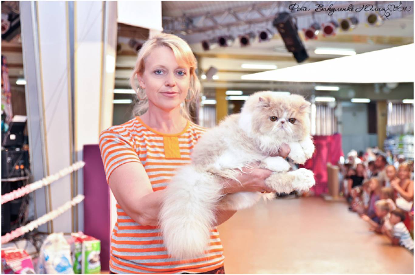 Міжнародна виставка котів