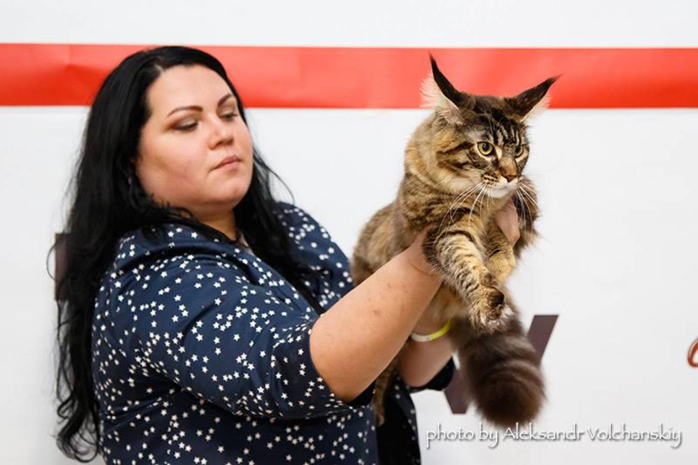 Міжнародна виставка котів