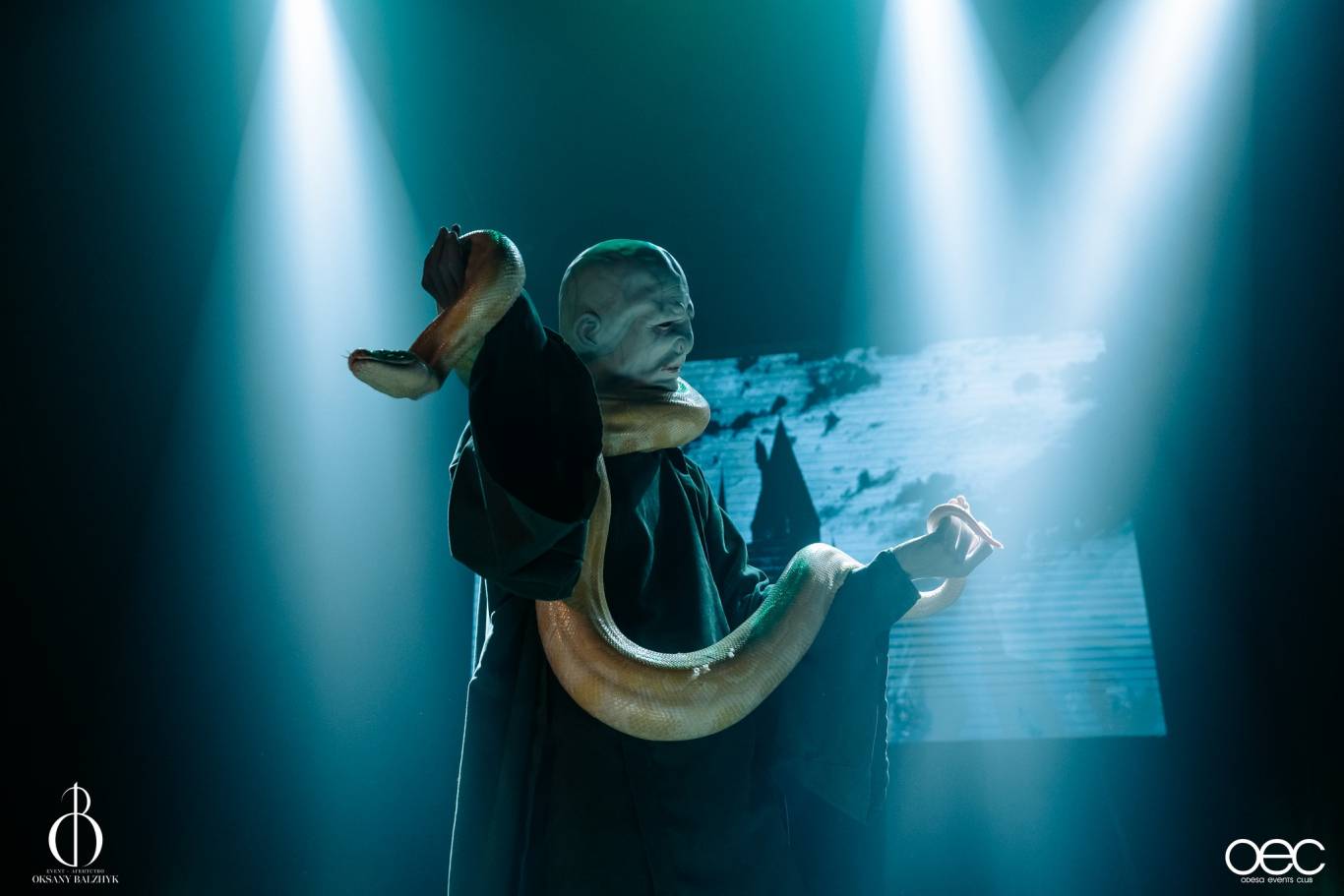 Гаррі Поттер  - фантастичне інтерактивне шоу для всієї родини