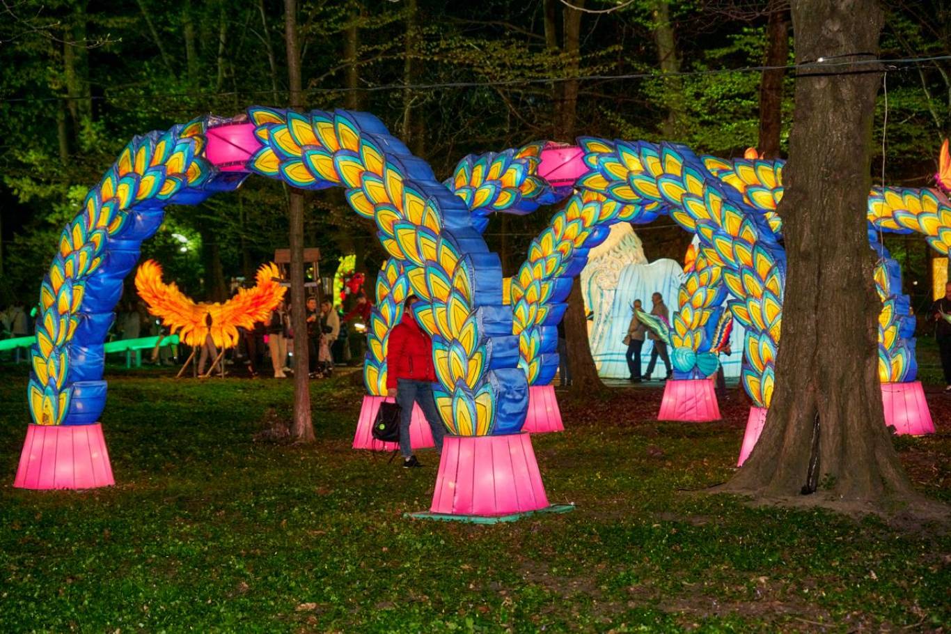 Парк ліхтарів у Вінниці