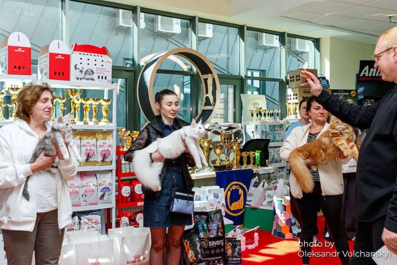 Міжнародна виставка котів