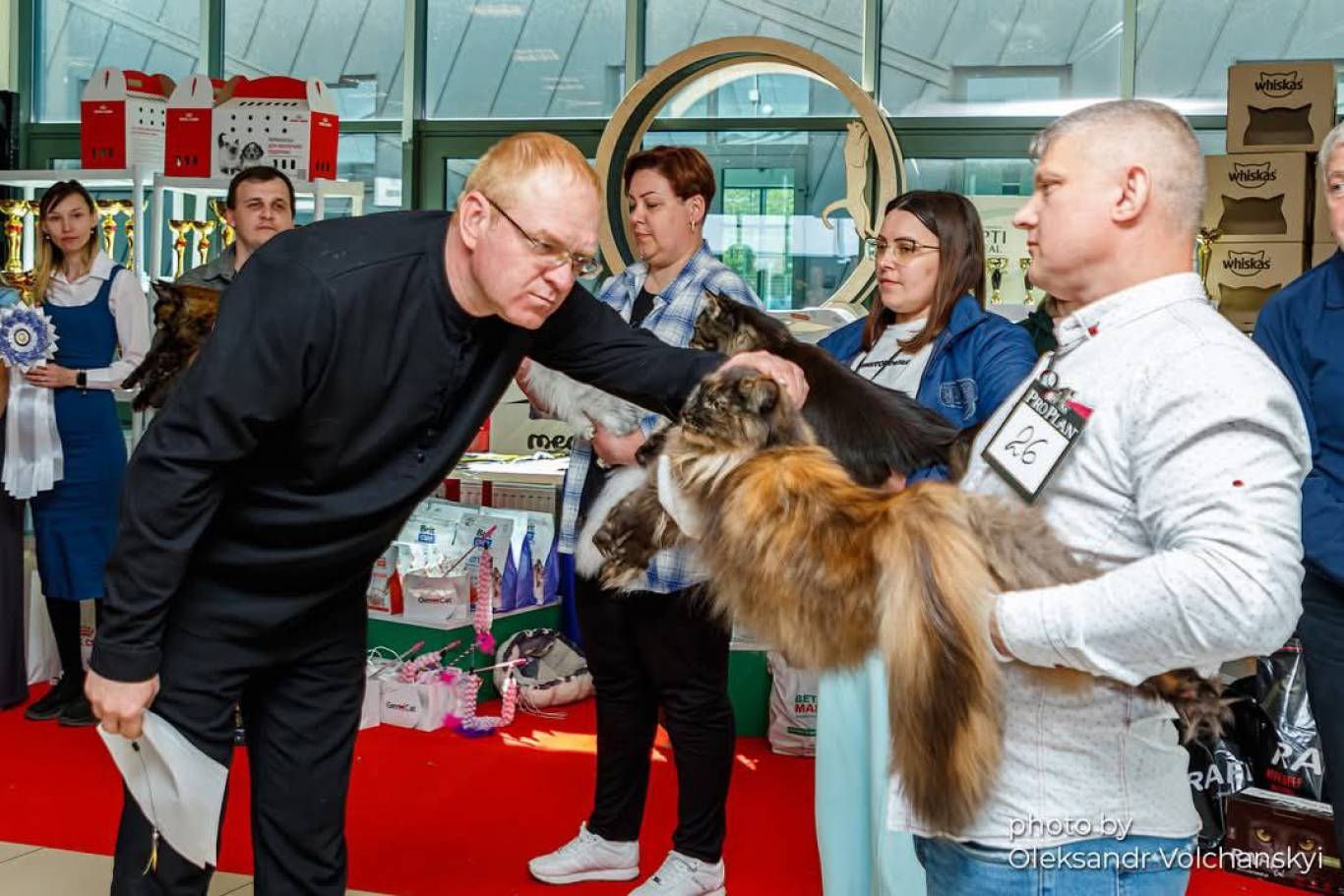 Міжнародна виставка котів
