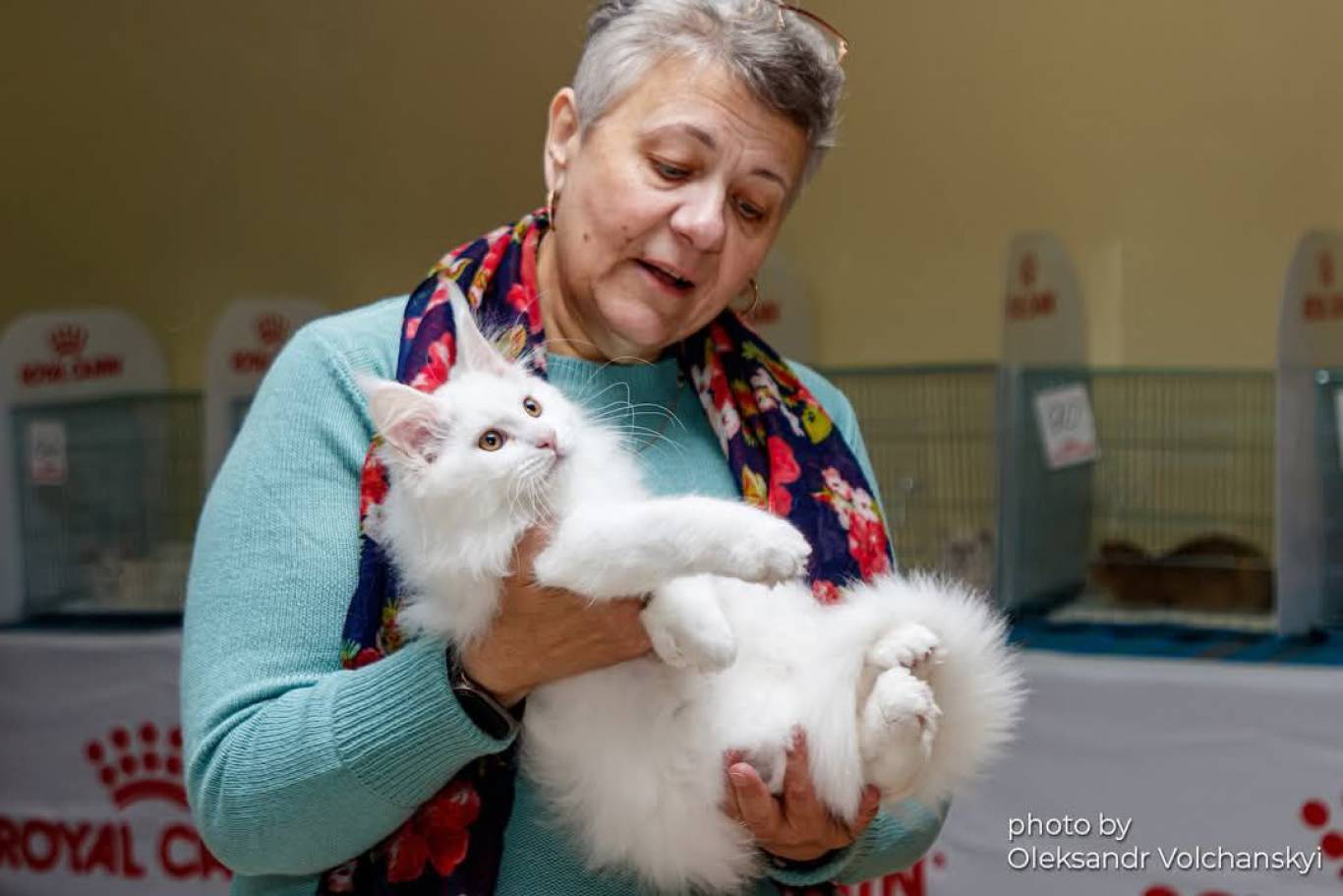 Міжнародна виставка котів