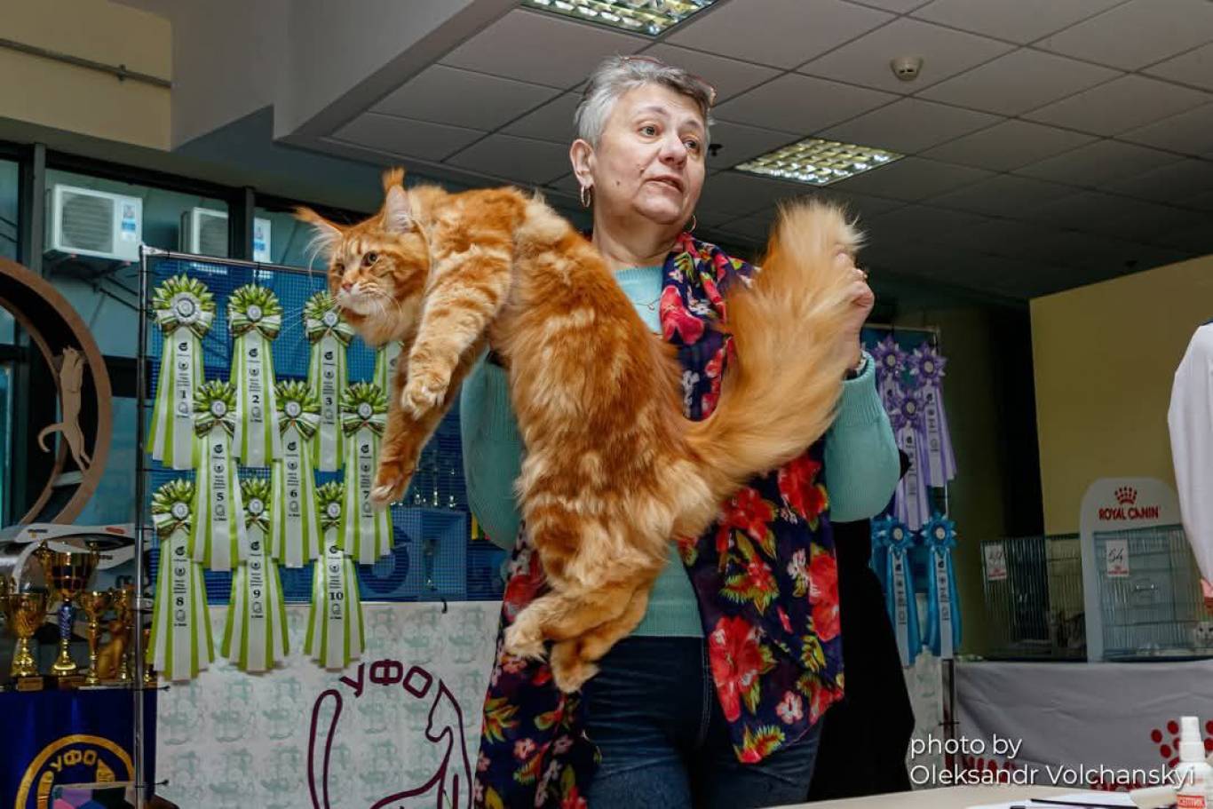 Міжнародна виставка котів