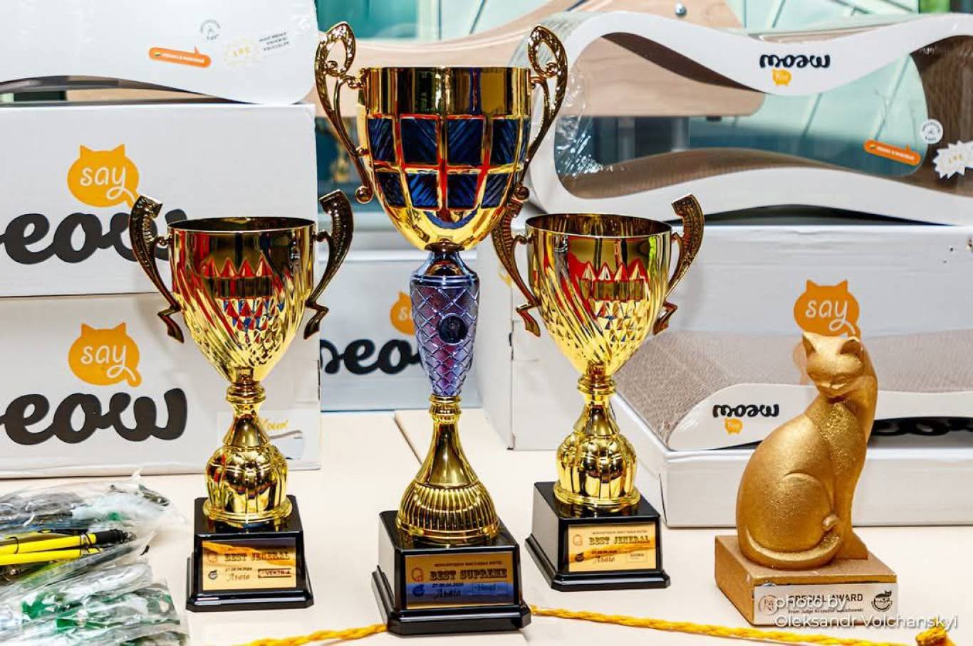 Міжнародна виставка котів