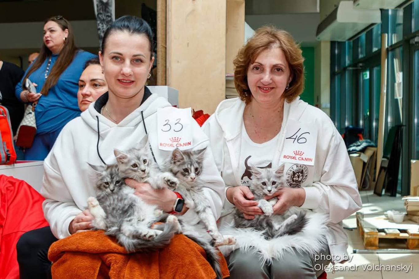 Міжнародна виставка котів