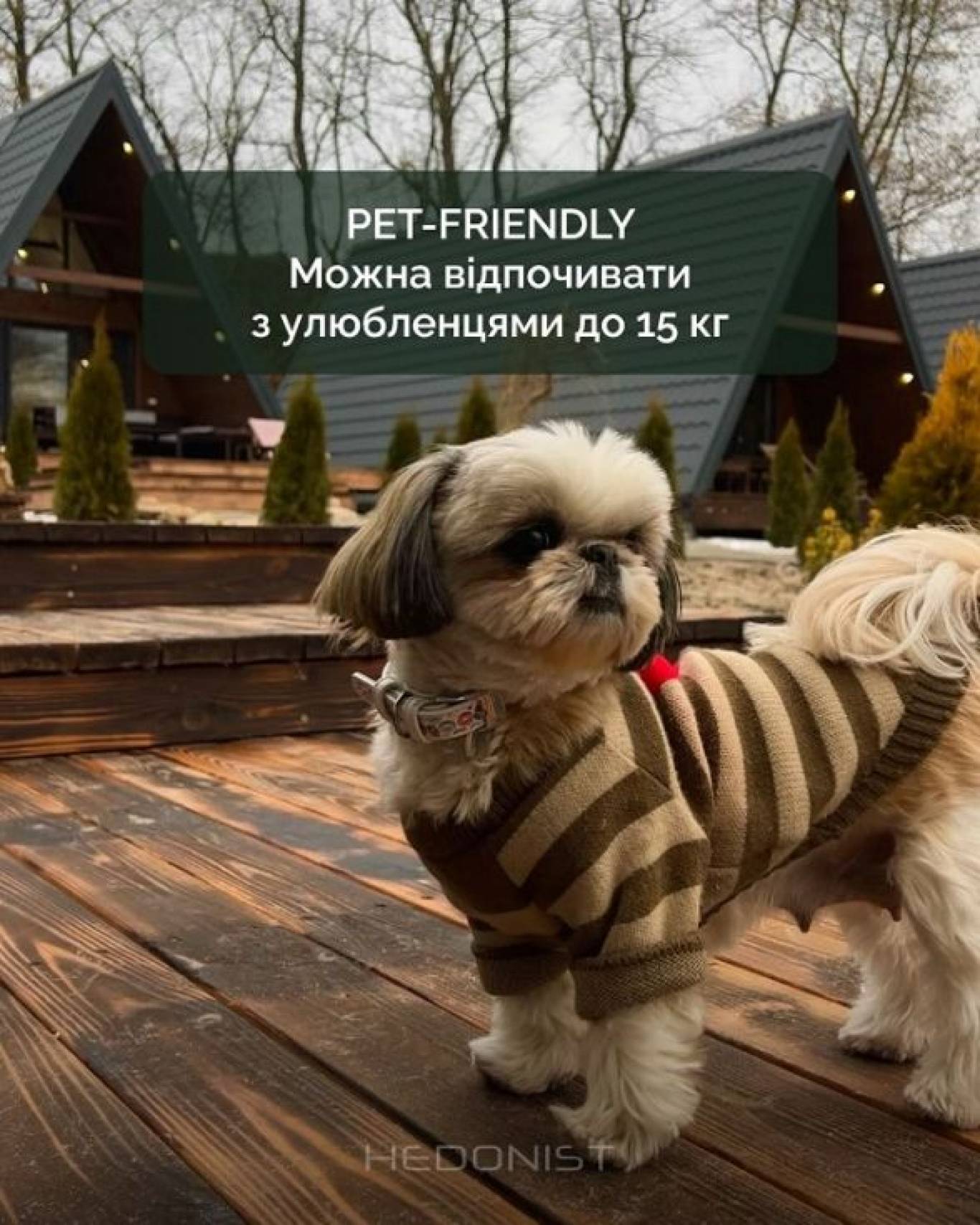 Відпочинок поблизу Вінниці: обираємо найкращі комплекси для сімейного релаксу