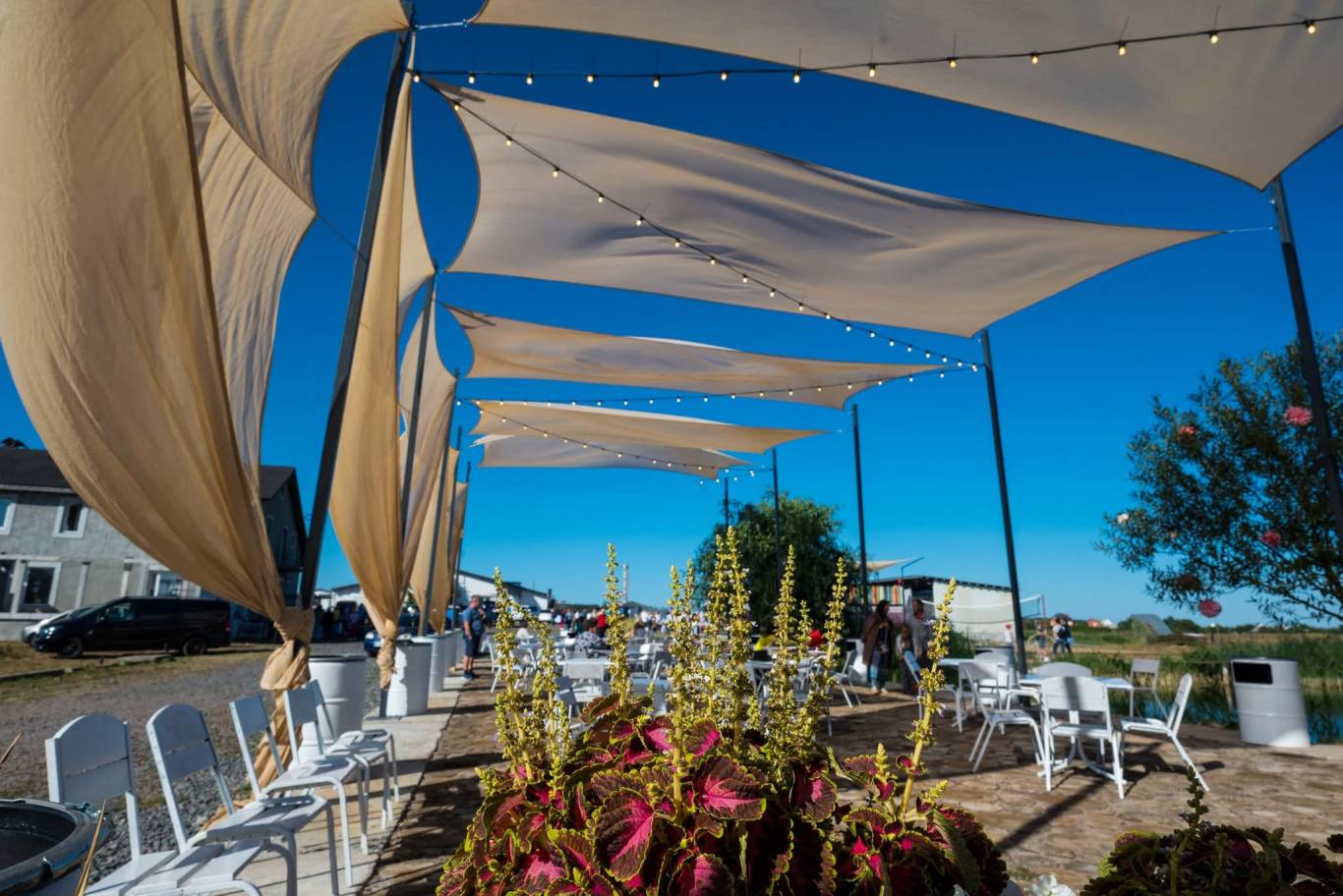 Концерт латиноамериканської музики у Фундуковому саду