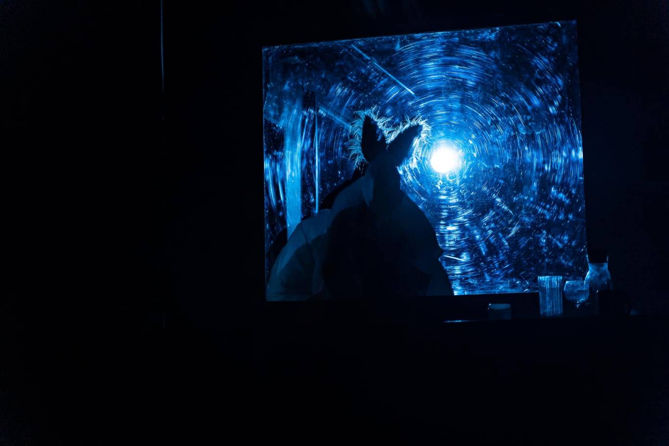 Вистава «Білка, яка прожила 100 років» 12 жовтня у Вінниці