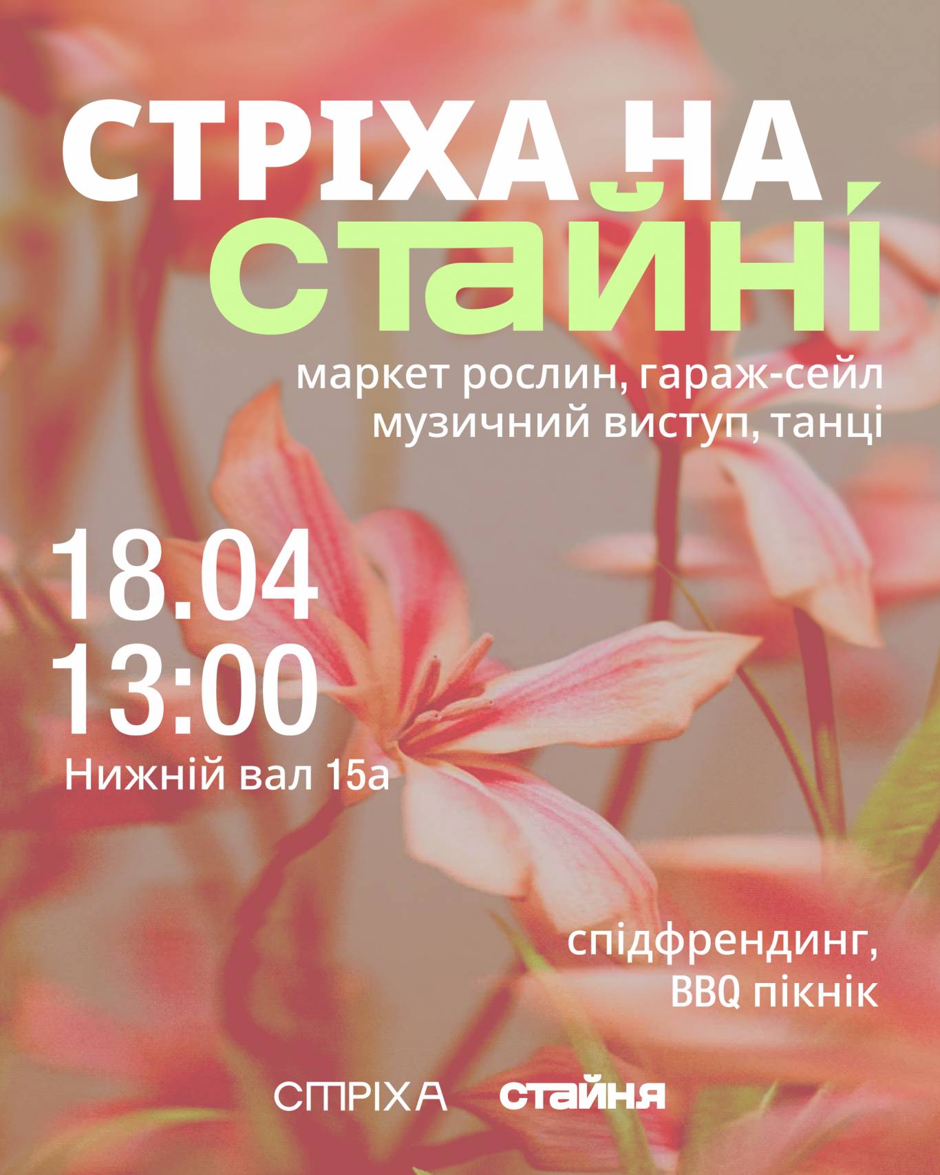 Стріха на Стайні