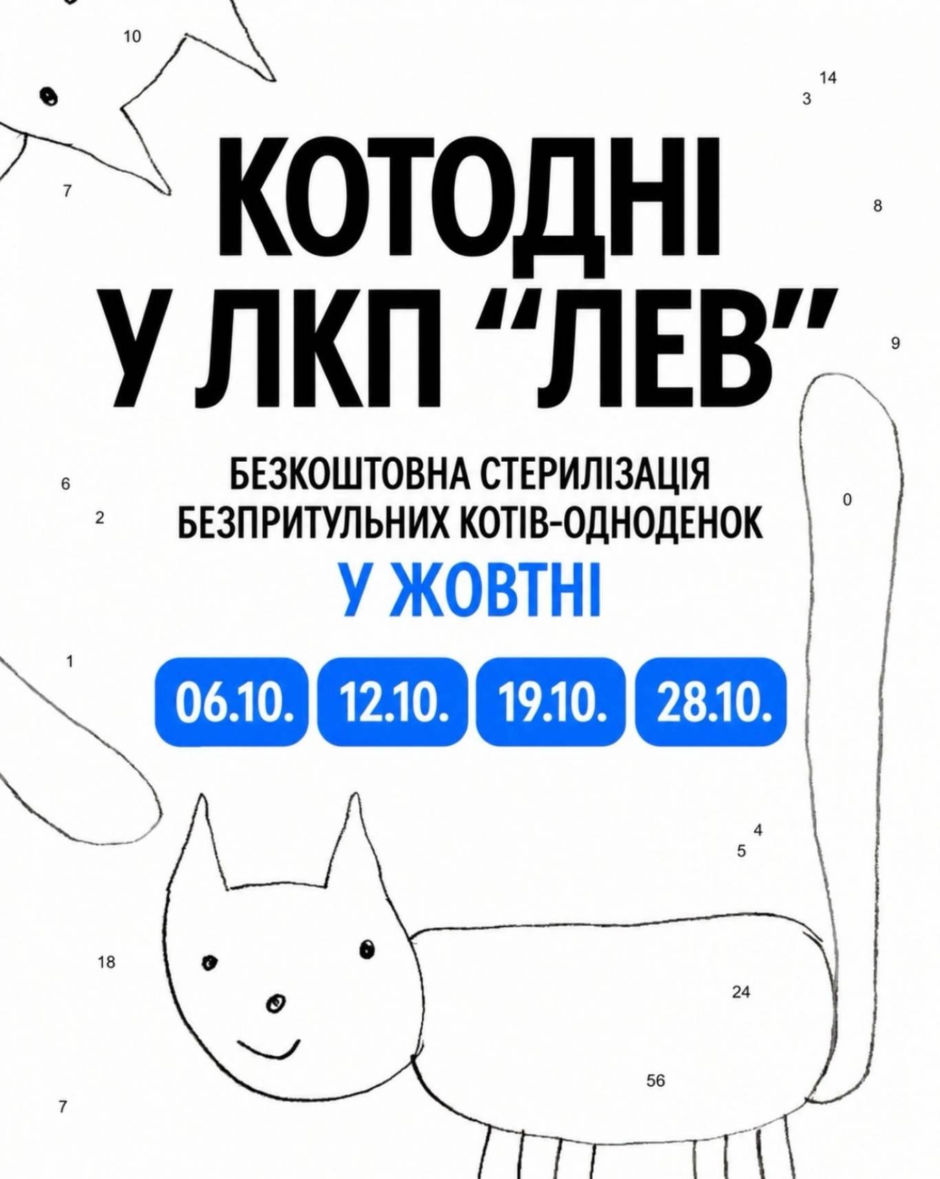 Котодні у ЛКП Лев - Безкоштовна стерилізація безпритульних котів