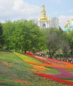 Співоче поле: виставка квітів "Україна Європейська"
