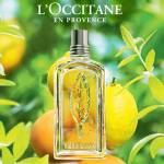 Нова ароматна колекція у магазинах L’OCCITANE з 1 серпня!