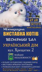 Міжнародна виставка породистих котів в Українському Домі