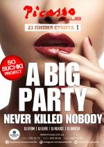 Вечірка A big party never killed nobody