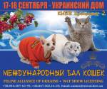 Міжнародна виставка-бал котів в Українському домі