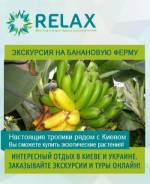 Тропіки поруч: Поїздка на бананову ферму поблизу Києва