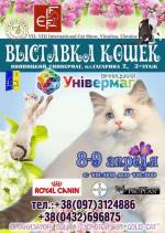 Выставка кошек международная лицензированная FIFe