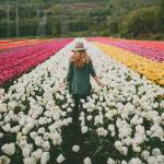 Фестиваль тюльпанів "Таємниці Великодньої Писанки"