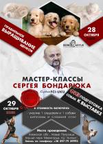 Мастер-классы: Правильное выращивание щенков и Физподготовка собак к выставкам