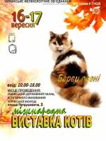 Міжнародна виставка котів "Барви Осені"