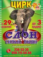 Шоу цирку "Слон та сильні люди"